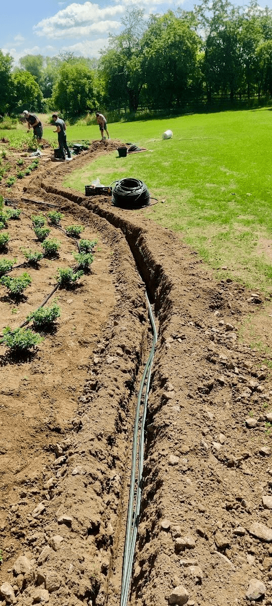 Reference Zálivka Záhonů